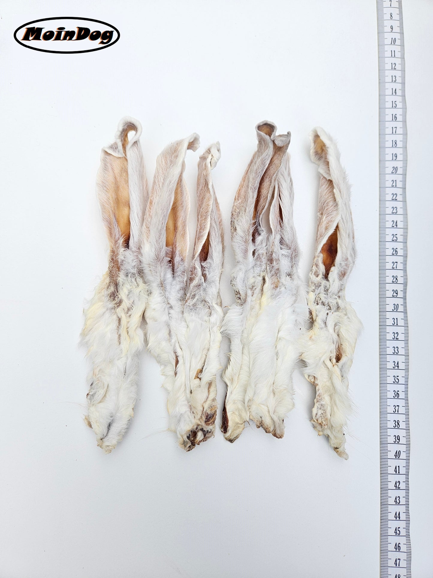 für empfindliche Hunde geeignet