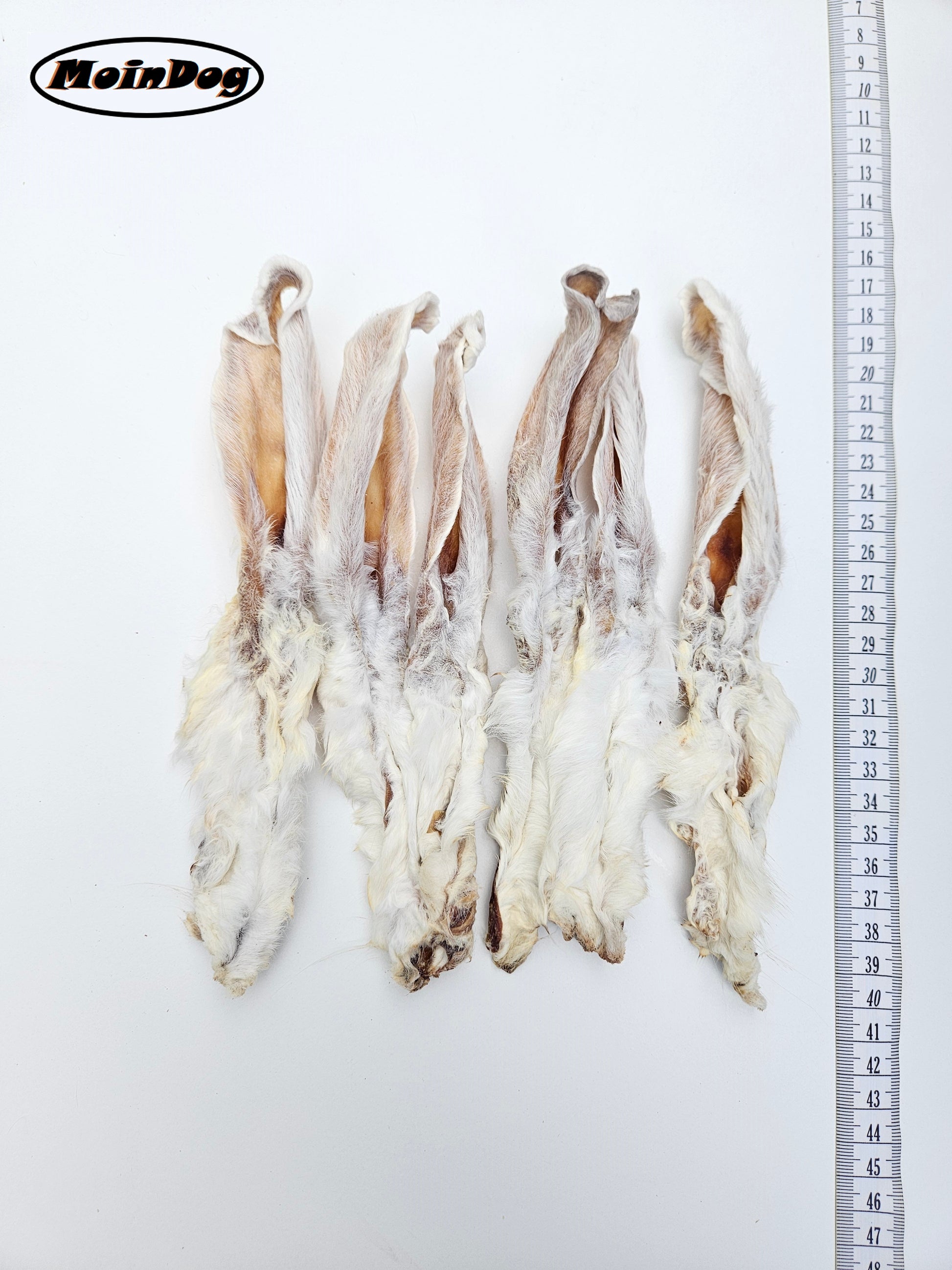 für empfindliche Hunde geeignet